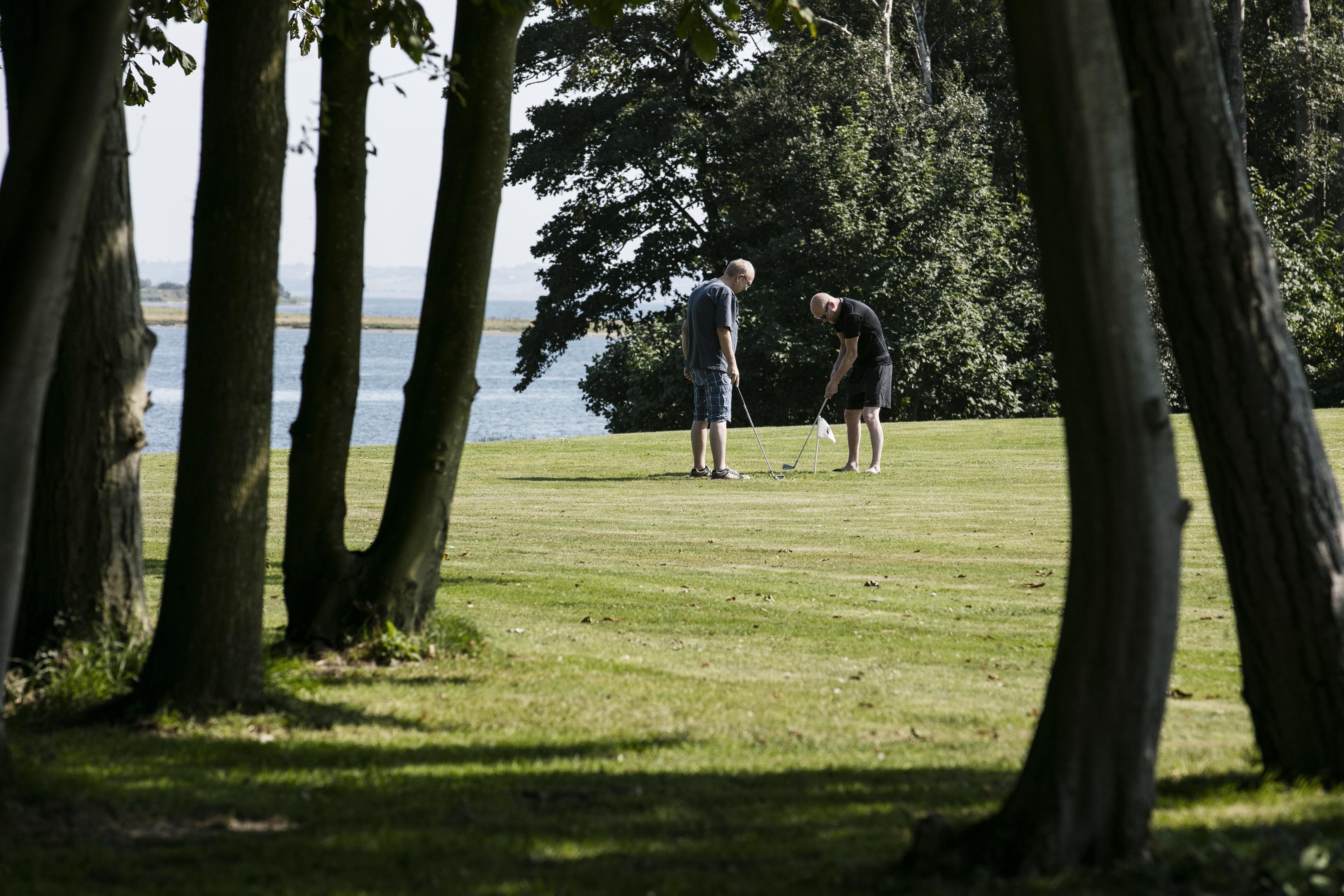 Japanese Park Golf 