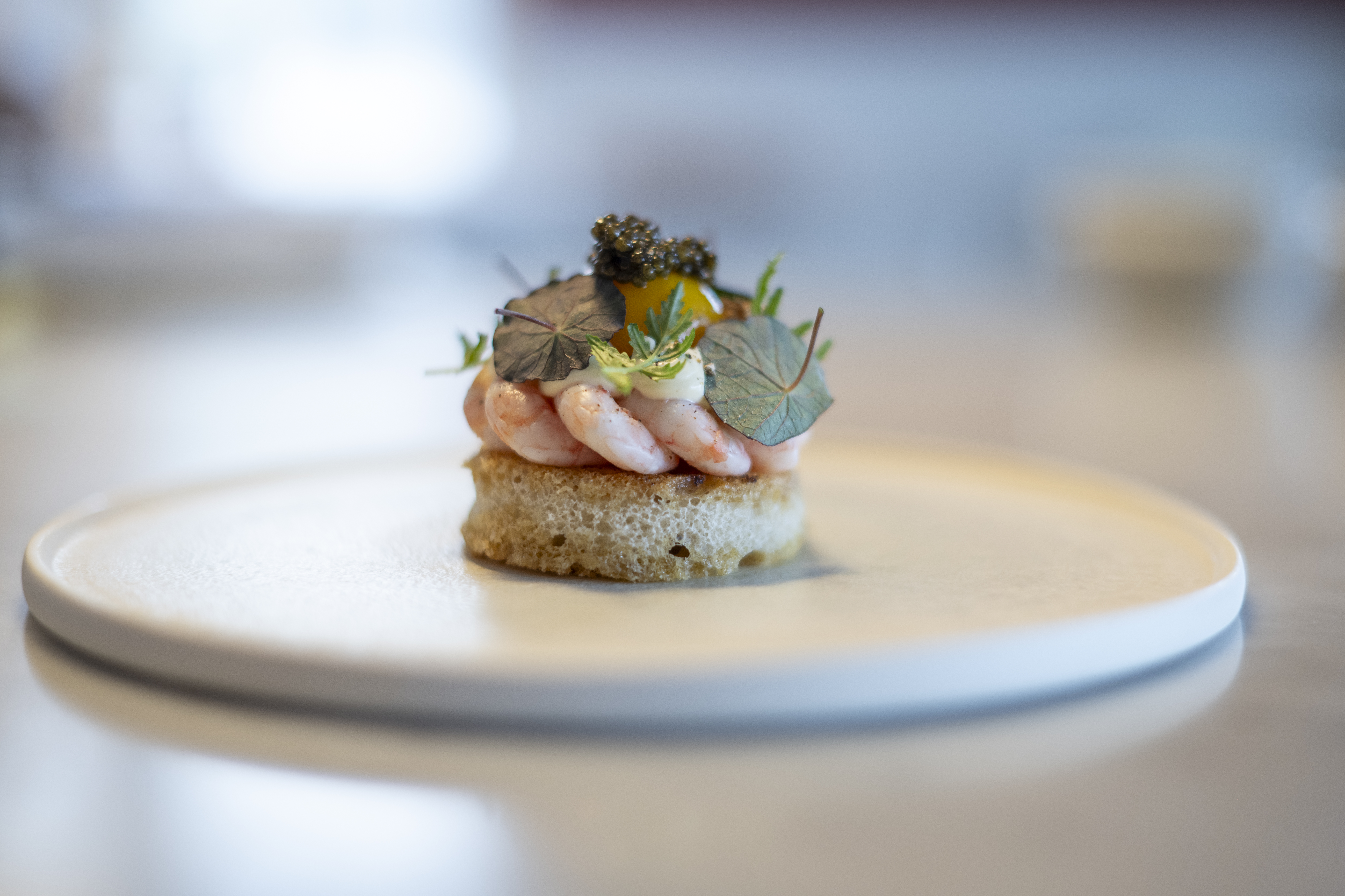 Blinis Med Rejer Sixtus Sinatur (1)