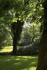 Den Danske Naturfond