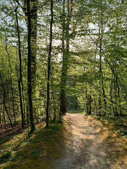 Mulighederne er mange