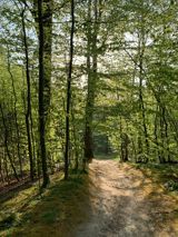 Mulighederne er mange