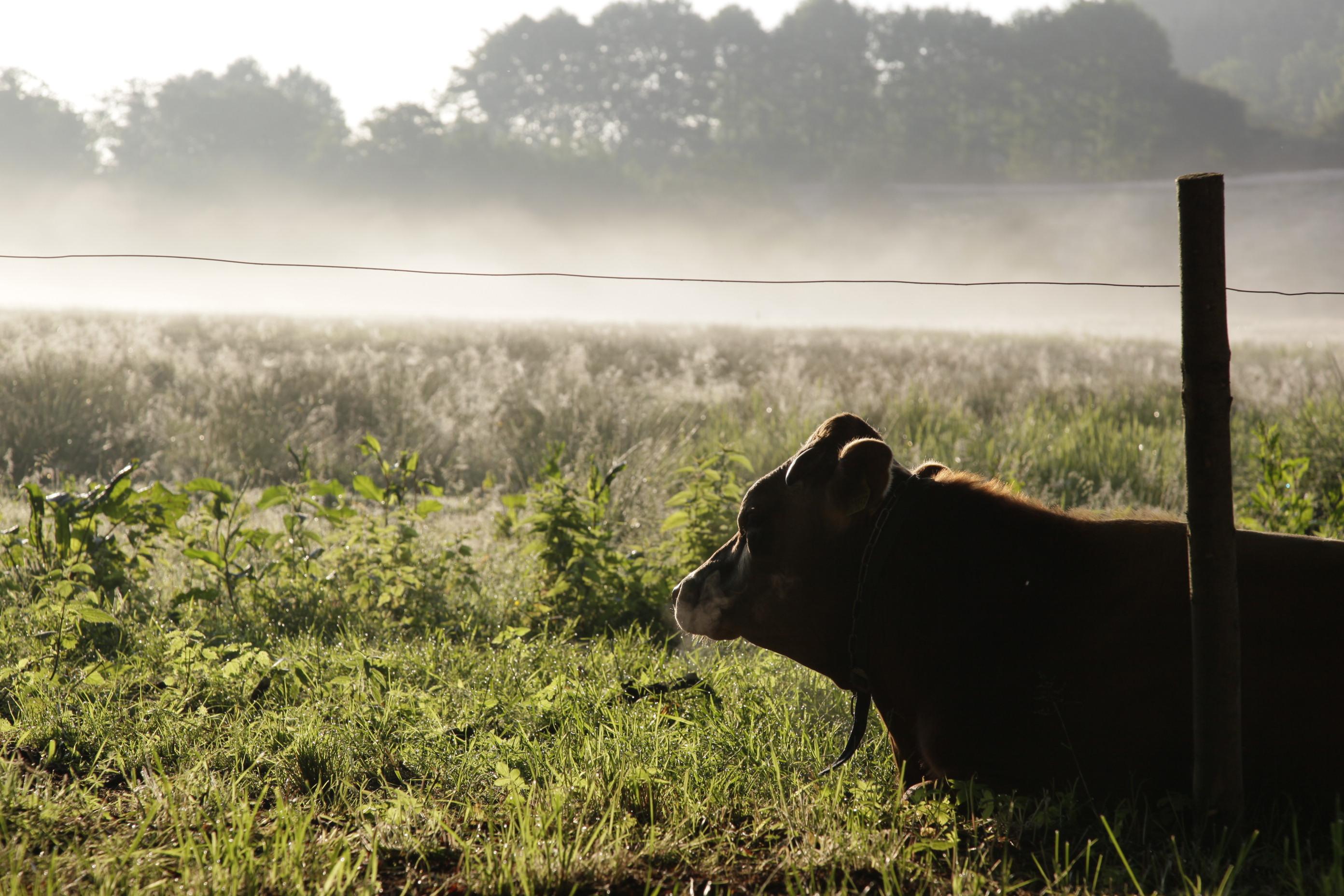 Se vores samfundsambition, foreløbige resultater og meget mere her