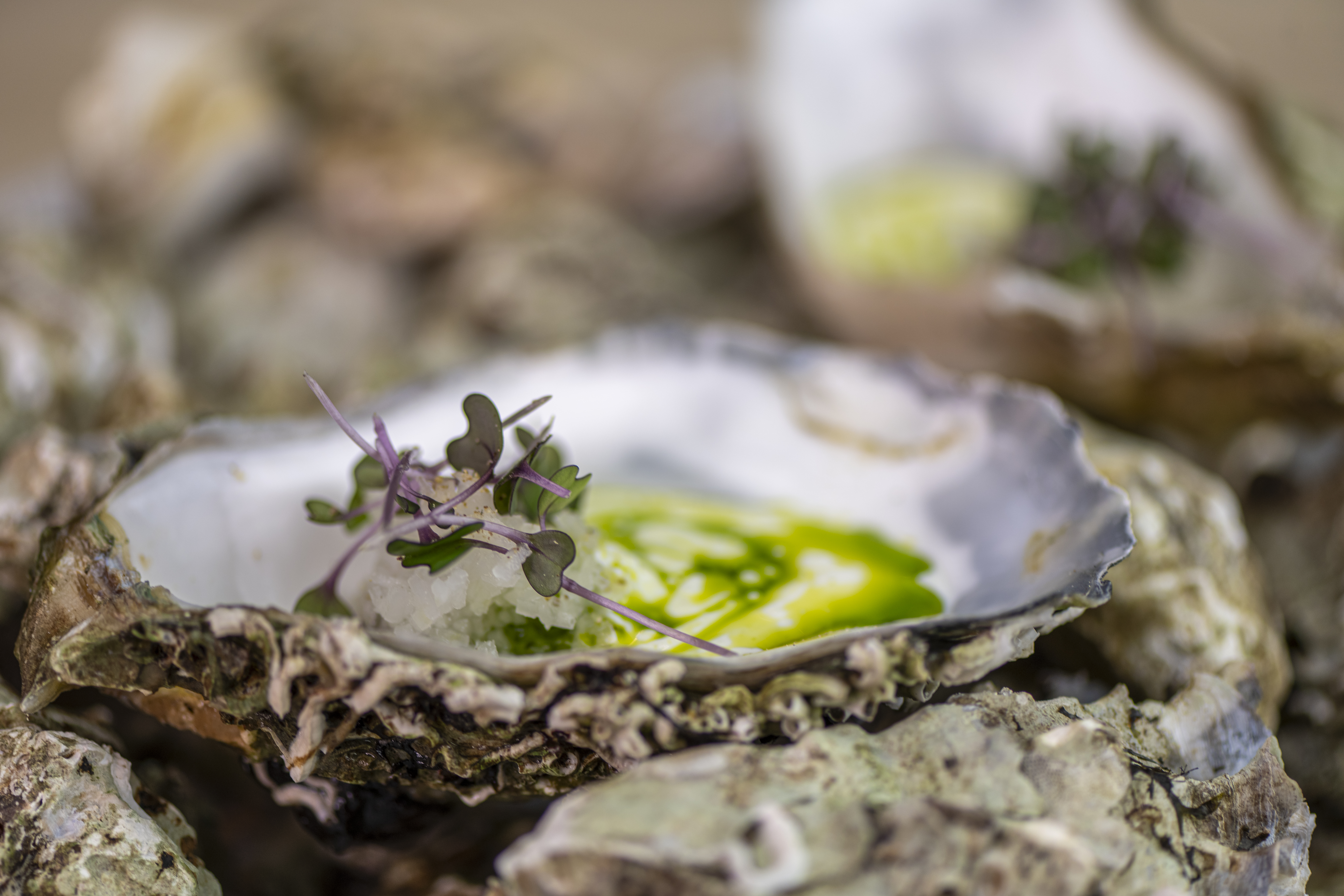 Restaurant og gastronomi på Sixtus