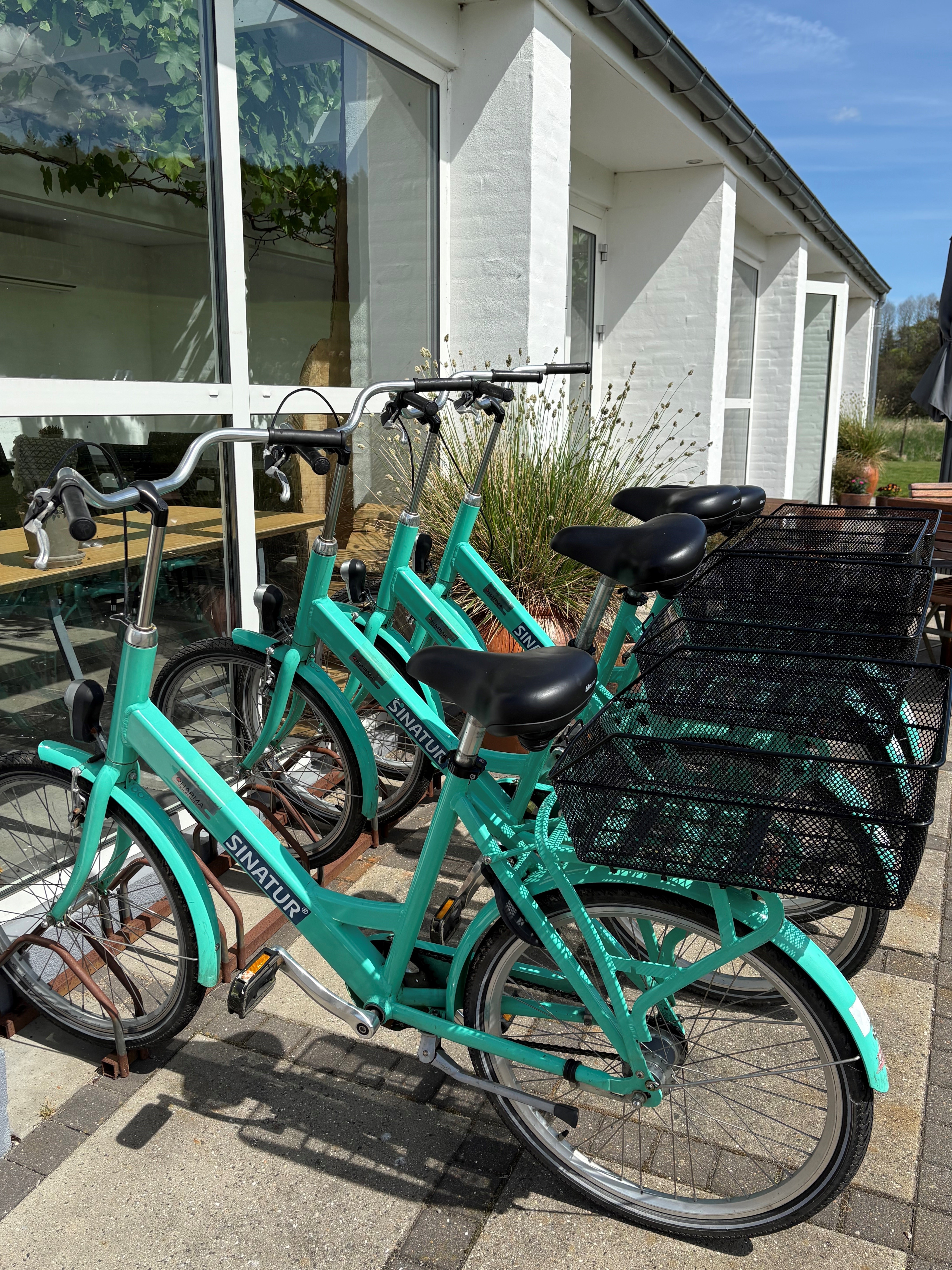 Rent a bike at Haraldskær - contact the reception here
