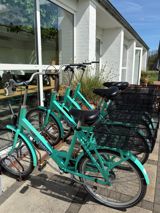 Rent a bike at Haraldskær - contact the reception here