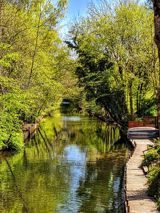 Møder og konferencer på naturens præmisser
