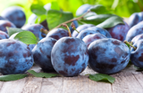The Fruit Grove