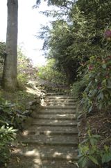 Herning Museum, Jyske Bank Boxen og mange andre attraktioner
