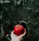 Vi har taget en bid af æblet