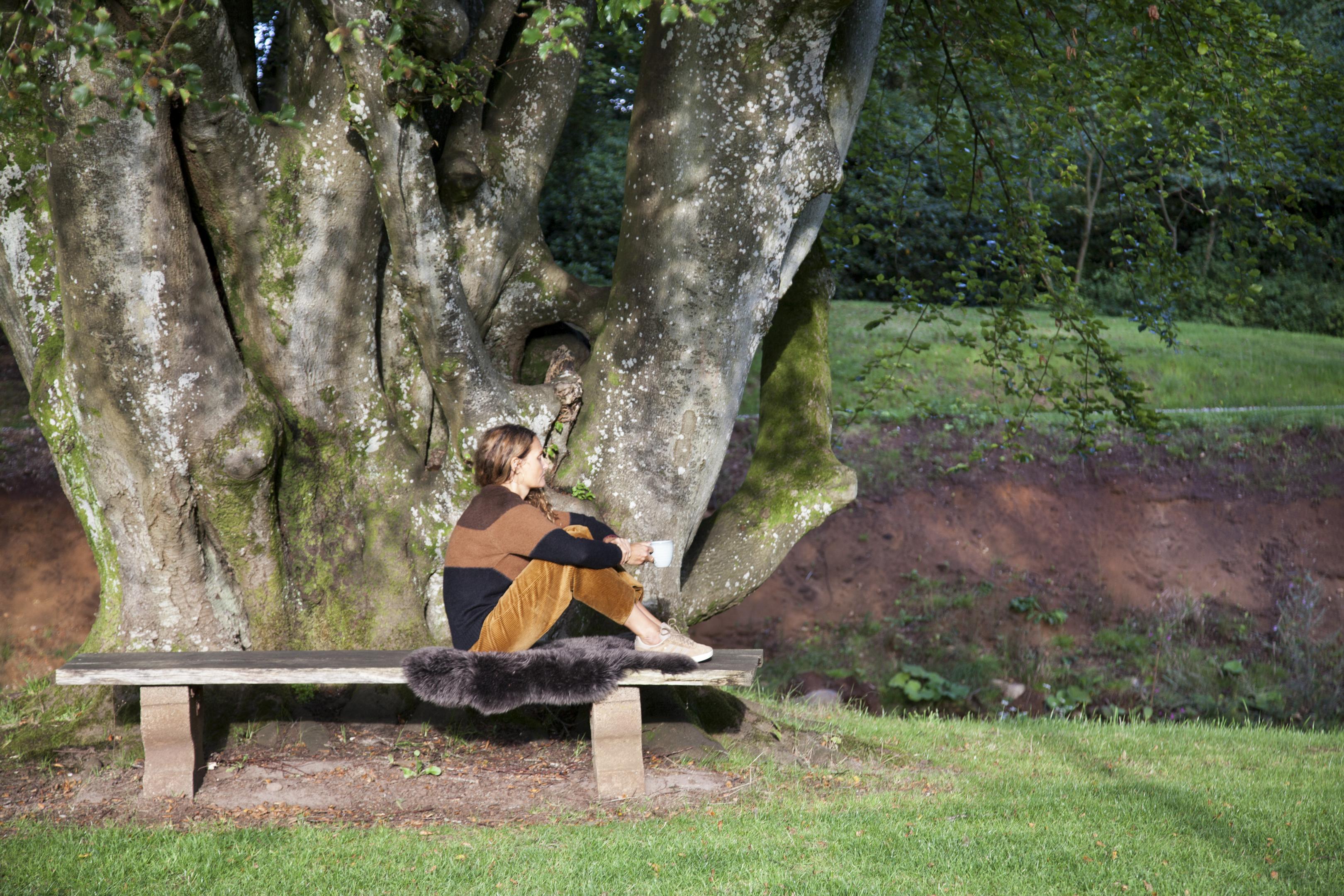Stort indtryk på gæsterne, lille aftryk på klimaet