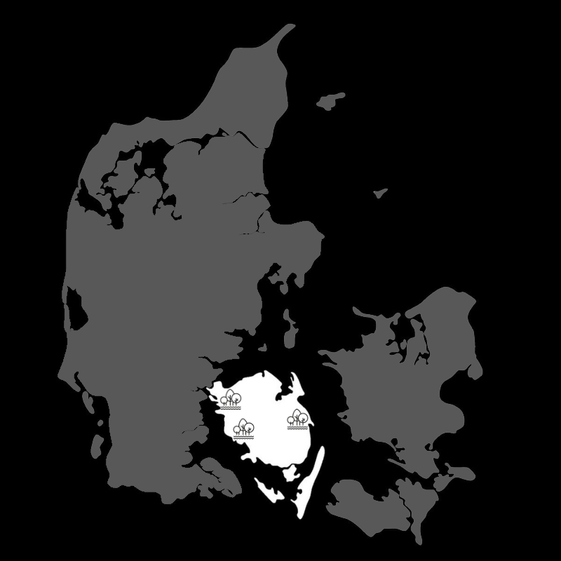 Et tilbud du ikke kan afslå