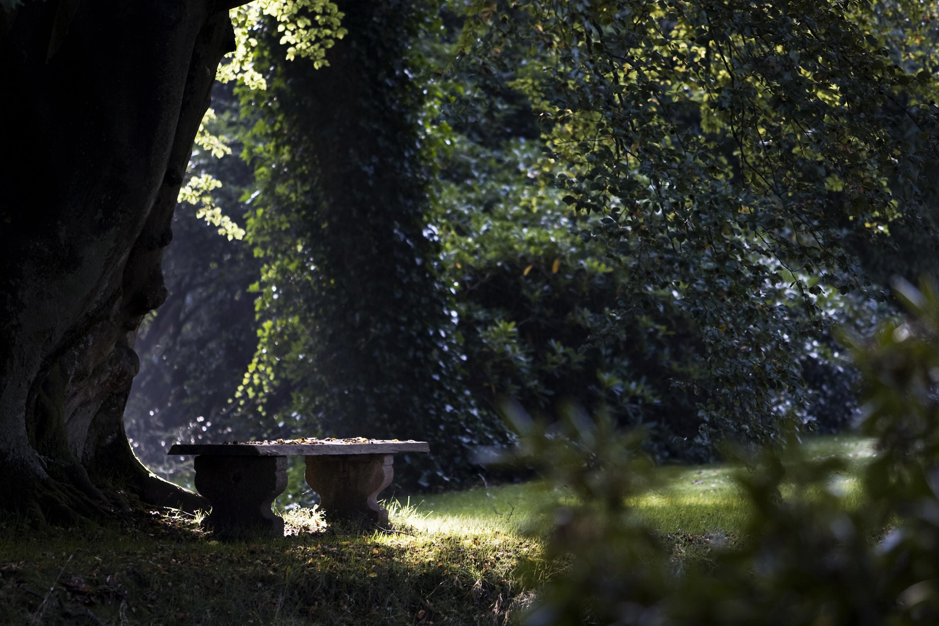 See all our current offers here