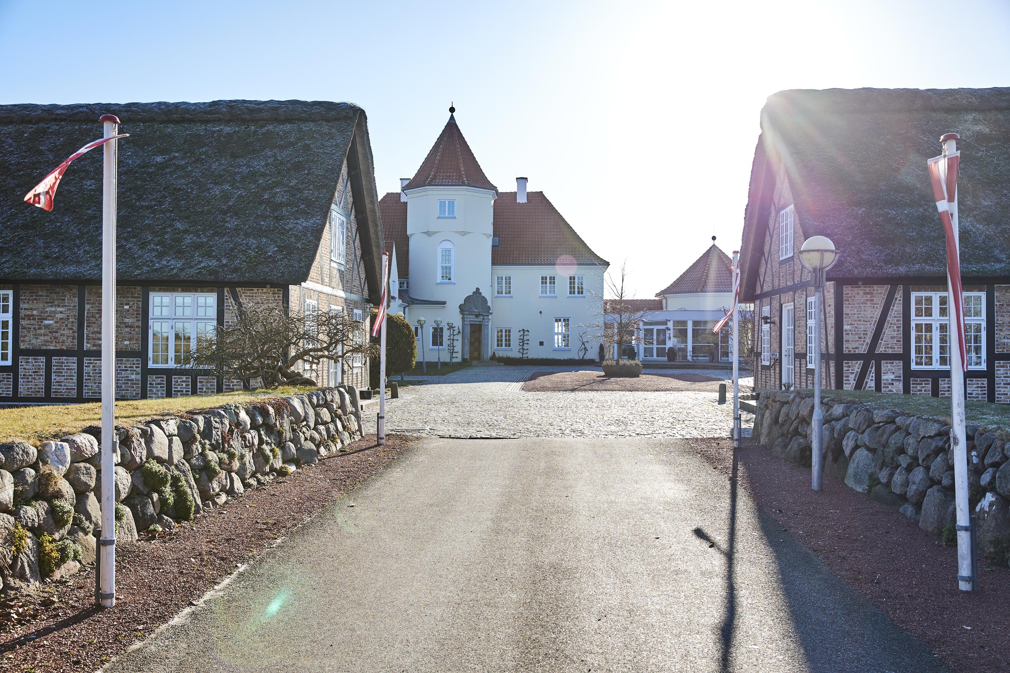 Blandt bølger og trætoppe