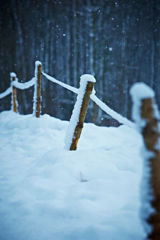 Vinterophold med snacks & 6 serveringer