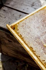 Honningchips fra Skarrildhus