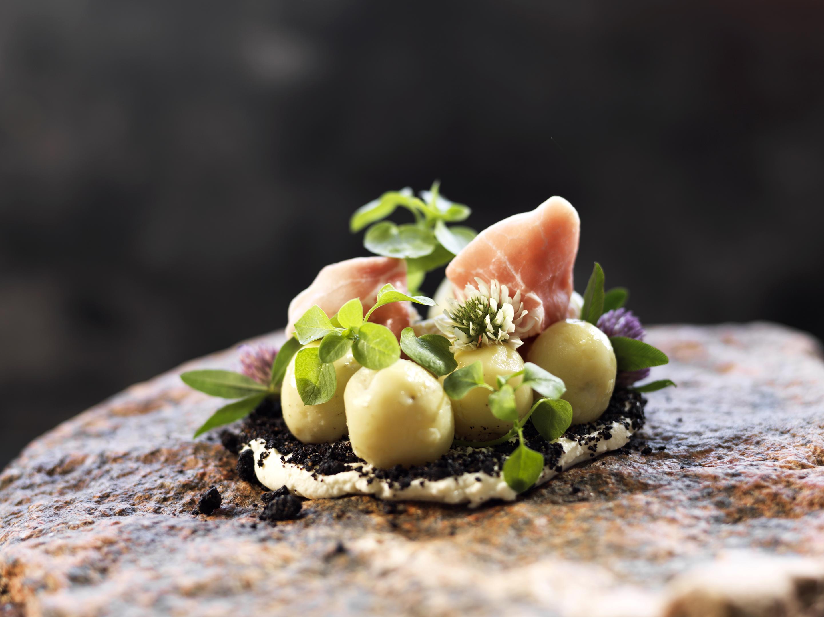 En naturlig tilgang til gastronomi