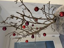 Derfor vælger virksomheder Skarrildhus