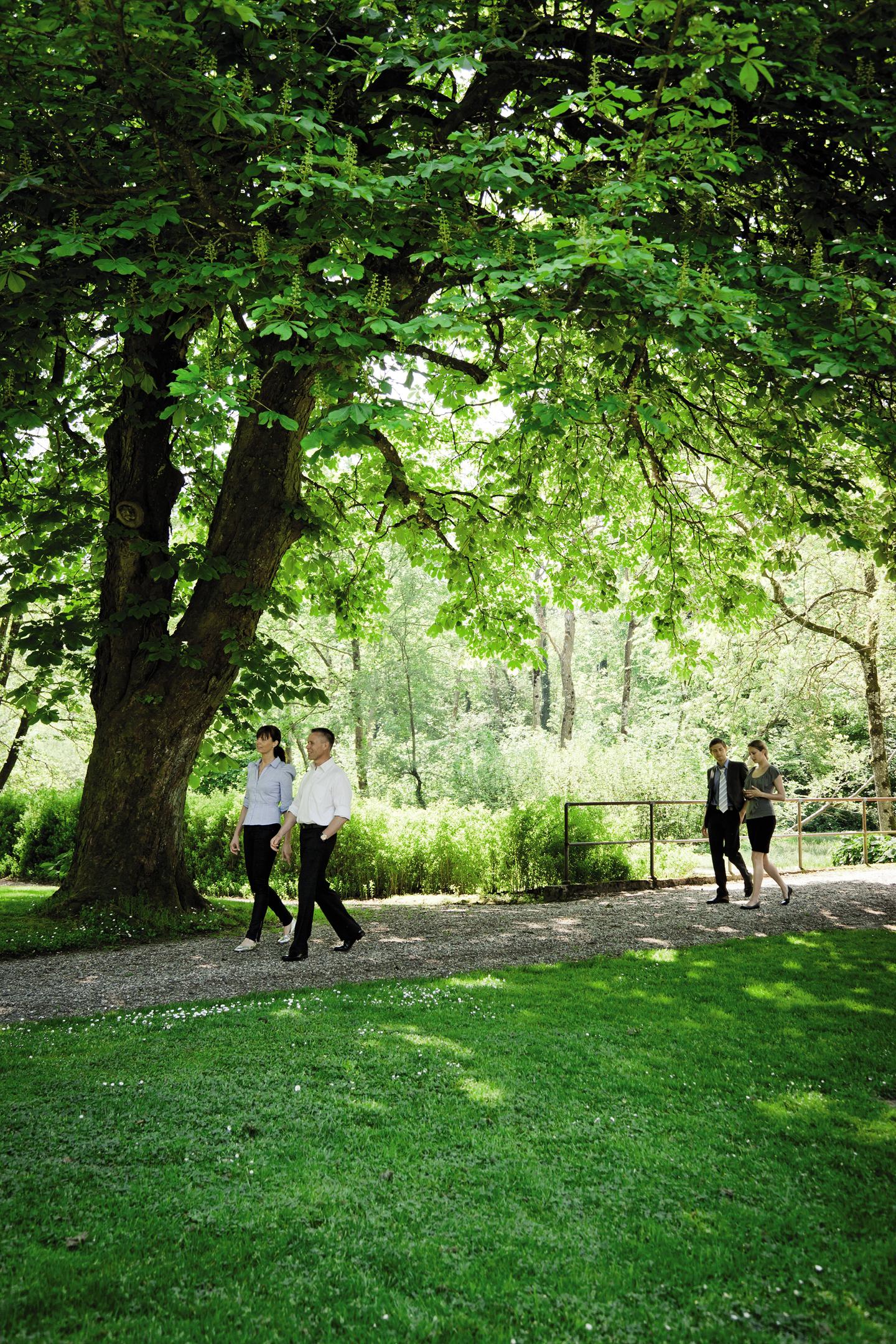 Company activities in the middle of nature
