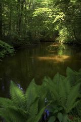 Et ophold med mening