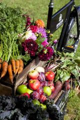 Responsible and local food concept