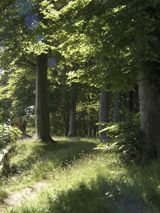 Et hotel nær Middelfart og omegn