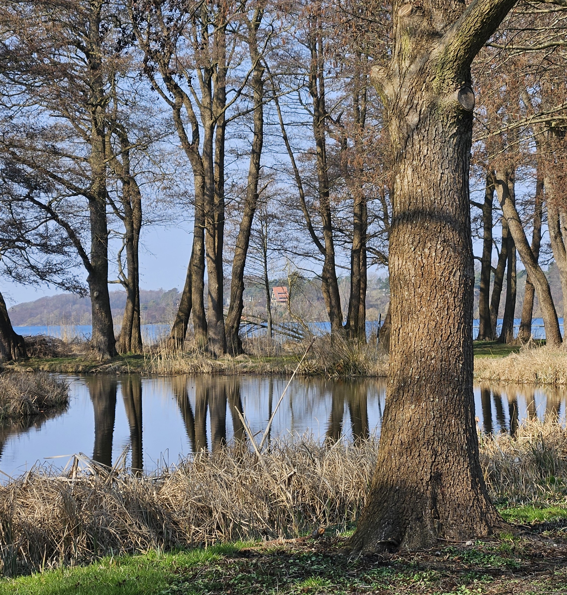 Frederiksdal Sinatur, Natur Ved Furesøen (2)
