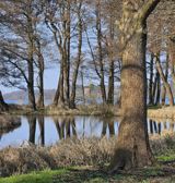 Frederiksdal Sinatur, Natur Ved Furesøen (2)