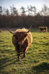 Vores samfundsambition