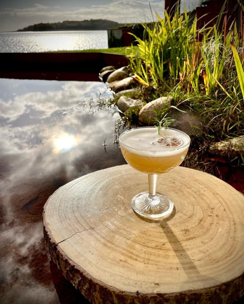 Lækker cocktail lavet på hjemmelavet kvædesirup