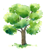 Sinatur Hotel & Konference er klar med første impact-rapport