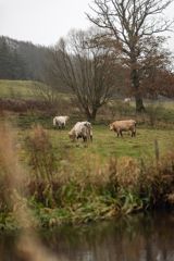 Naturen som medspiller