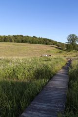 Forårsophold på Haraldskær