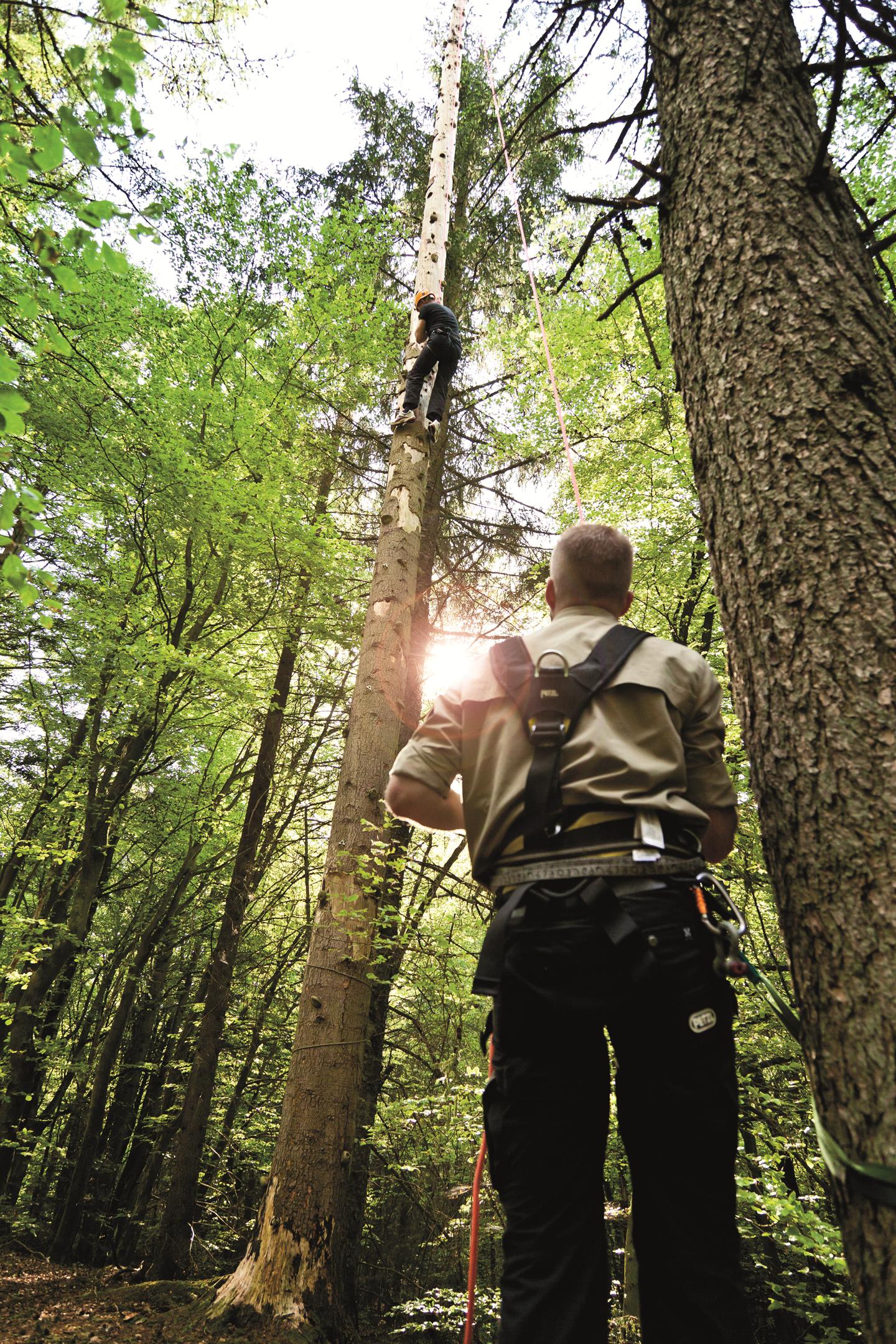 Corporate activites that take root