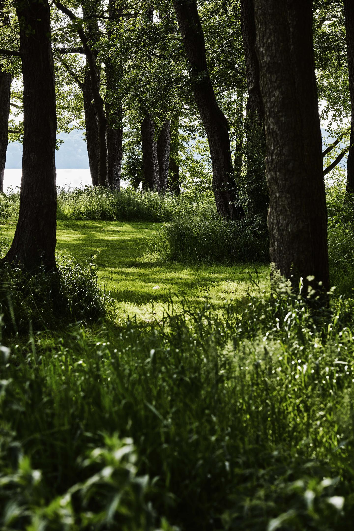 Vi giver tilbage til naturen
