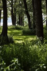 Vi giver tilbage til naturen