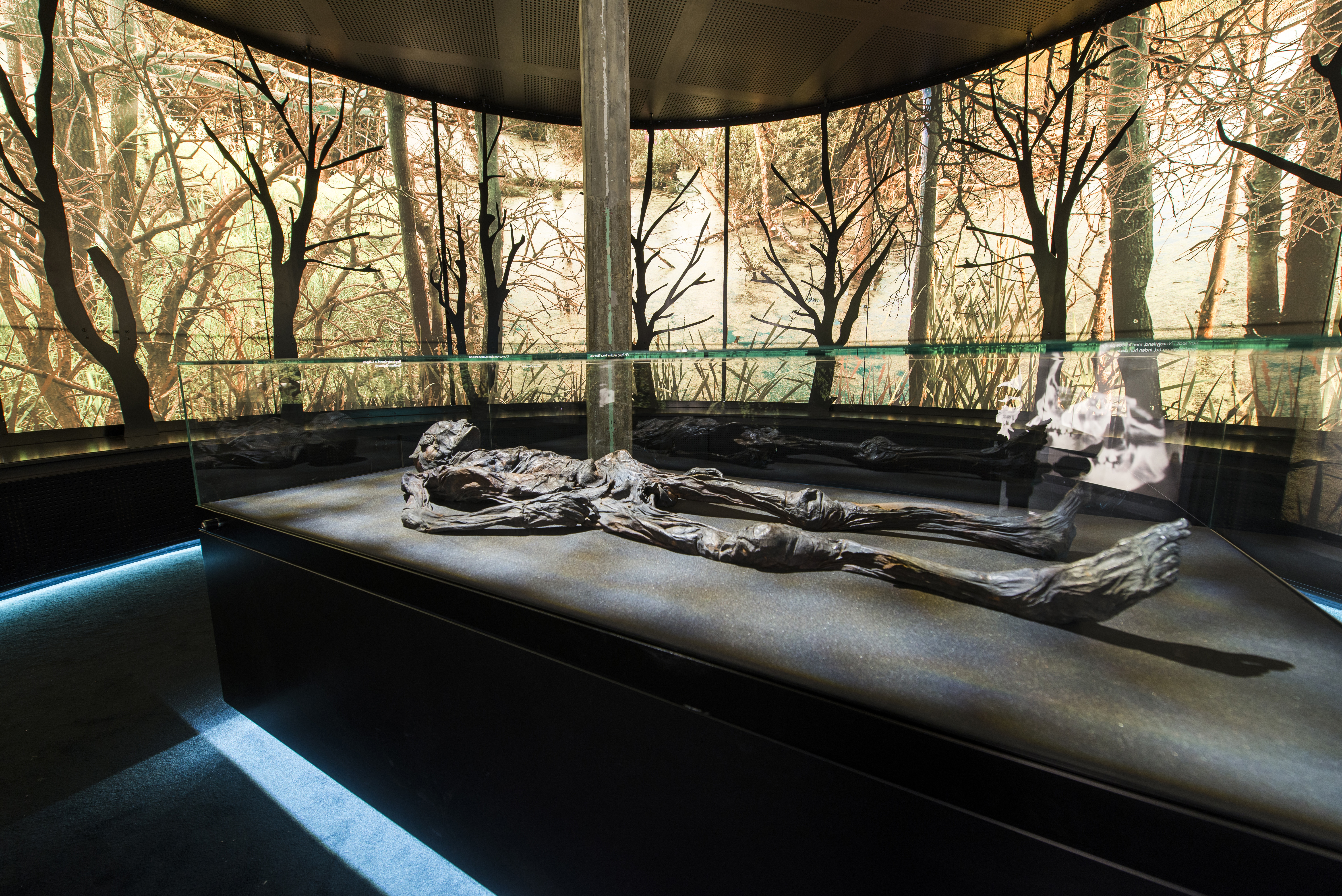 Meet the Haraldskær woman - a bog corpse