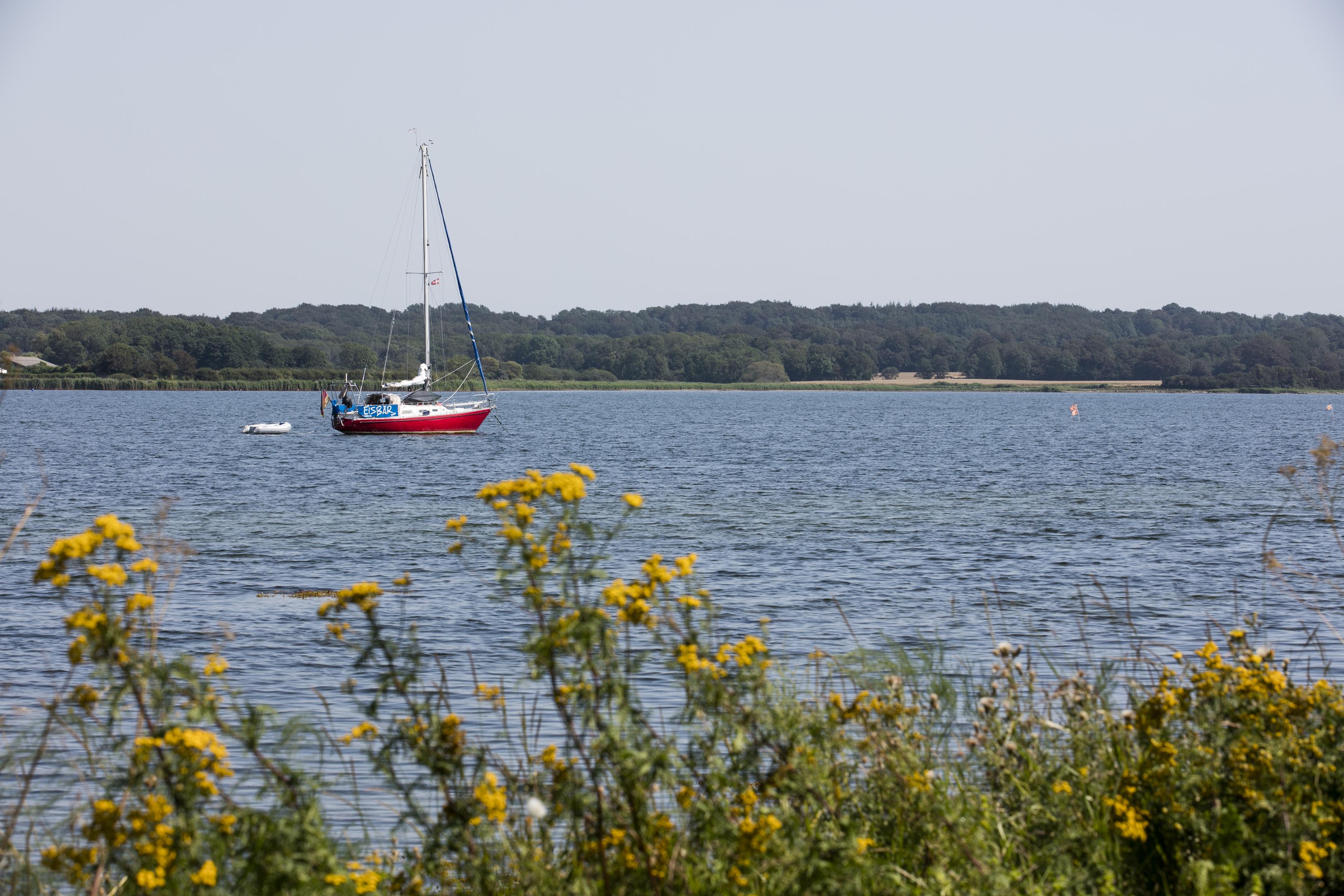 Ringkøbing