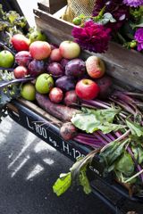 Sølvmærket i økologi