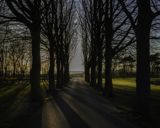 Fantastiske fællestræk