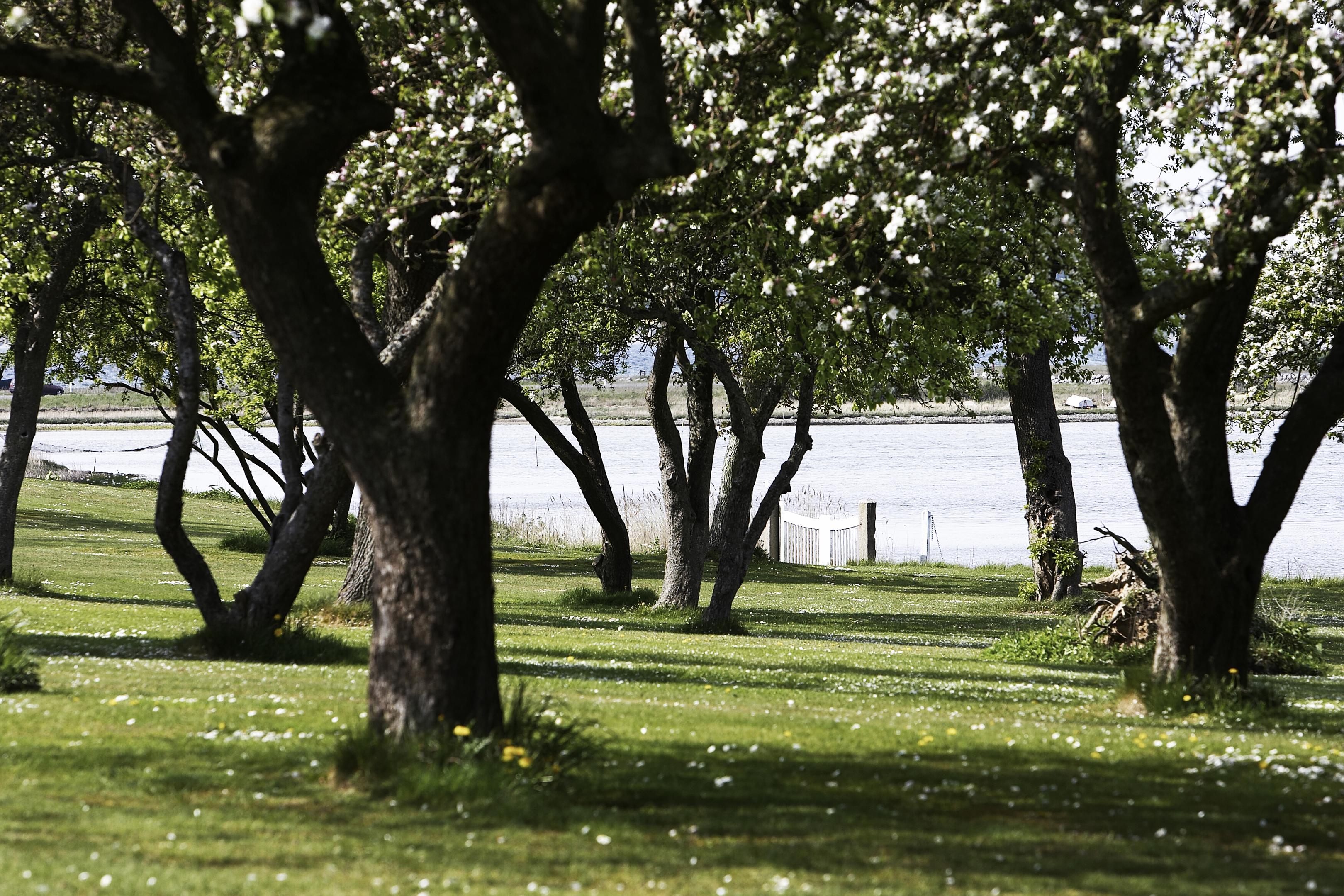 Få et naturbevis og et stykke dansk natur