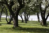 Få et naturbevis og et stykke dansk natur