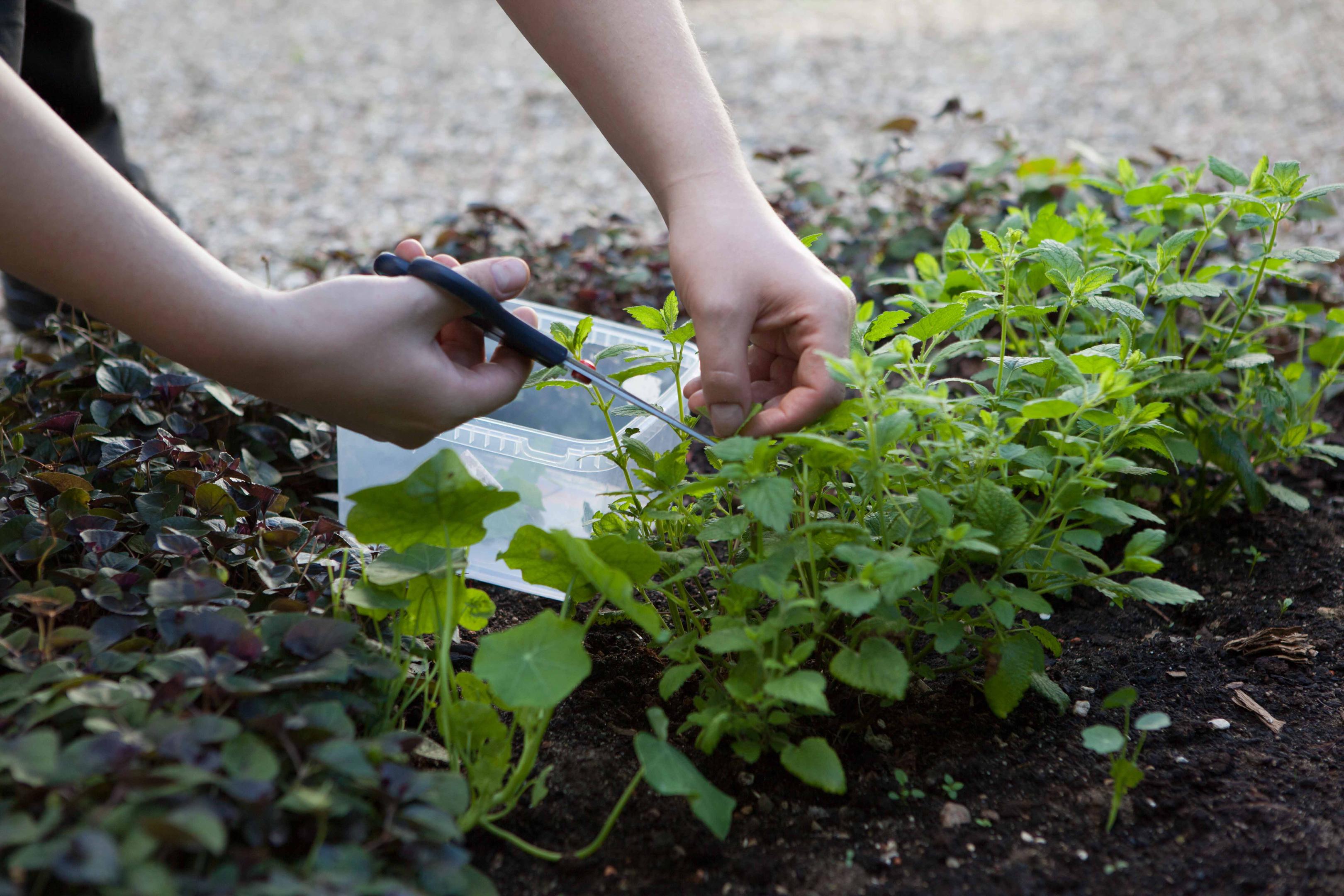 Bliv vores nye medarbejder