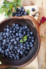 Økologi for naturen