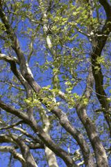 Help protect Denmark's wild nature when you hold a meeting