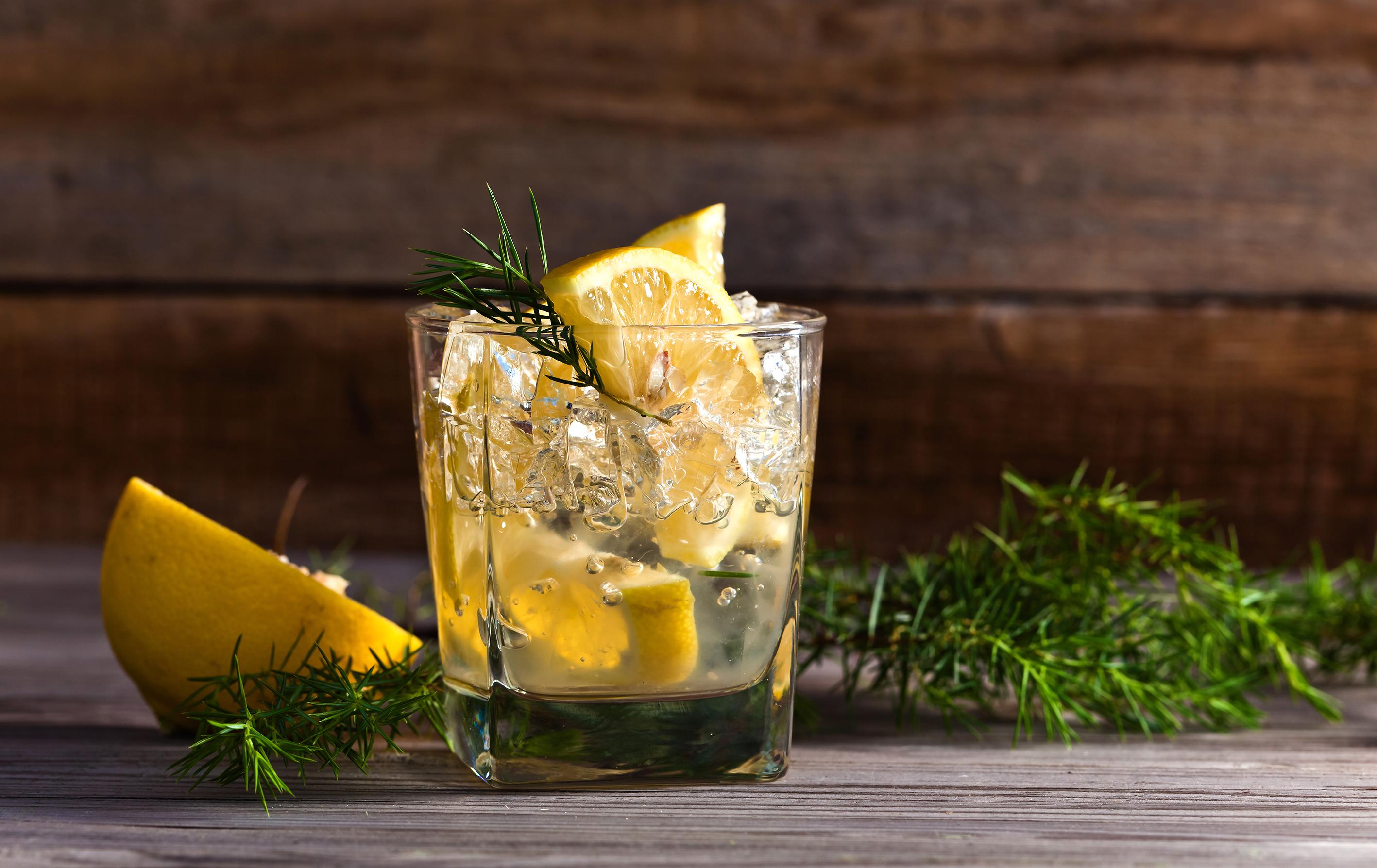 Gin & Tonic smagning