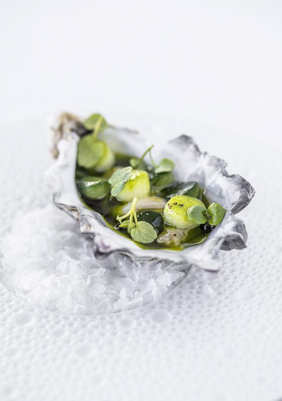 Josephine-østers med fermenteret tomatjuice skilt med purløgsolie