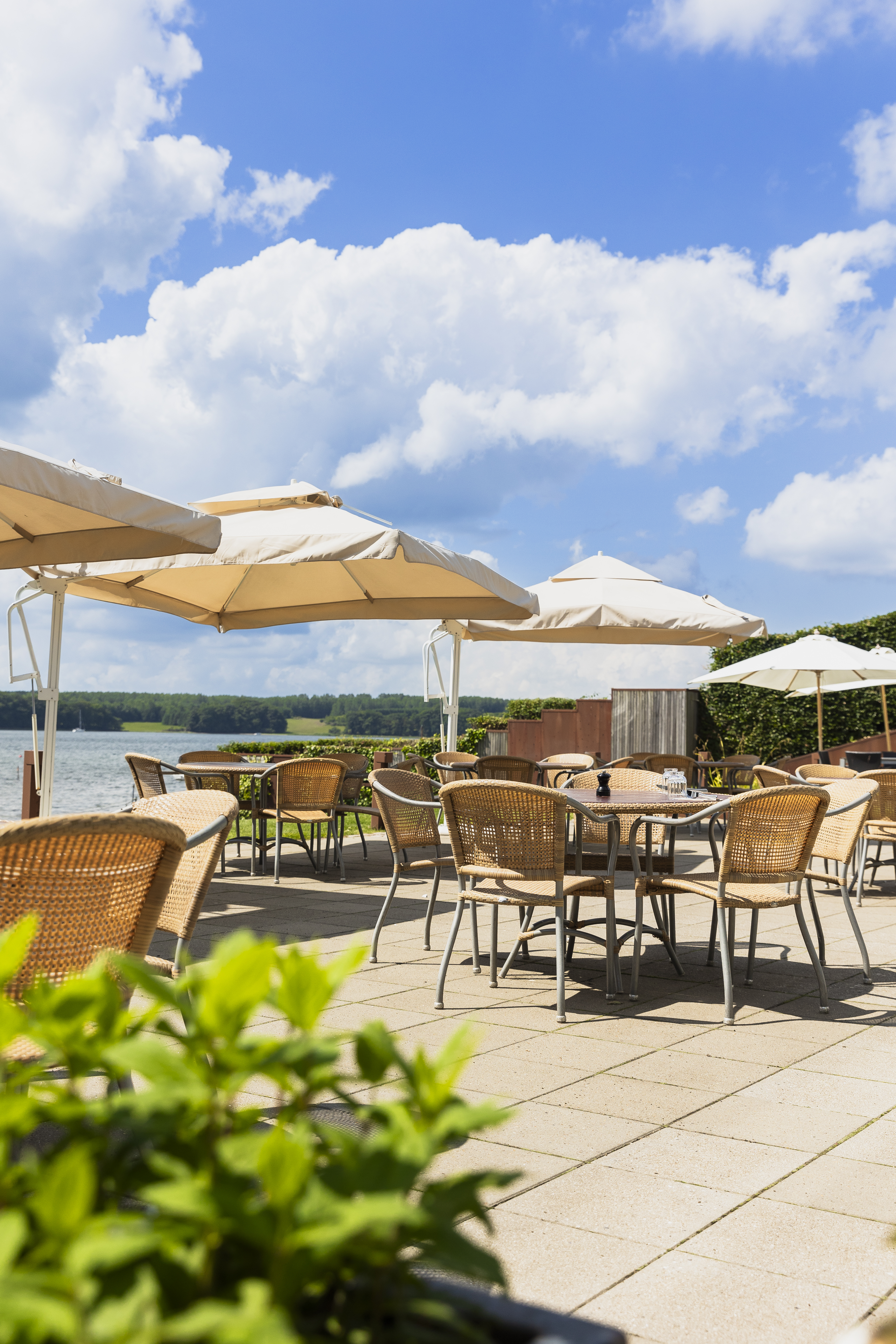 Terrace with a view