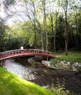 Vi bliver hele tiden klogere