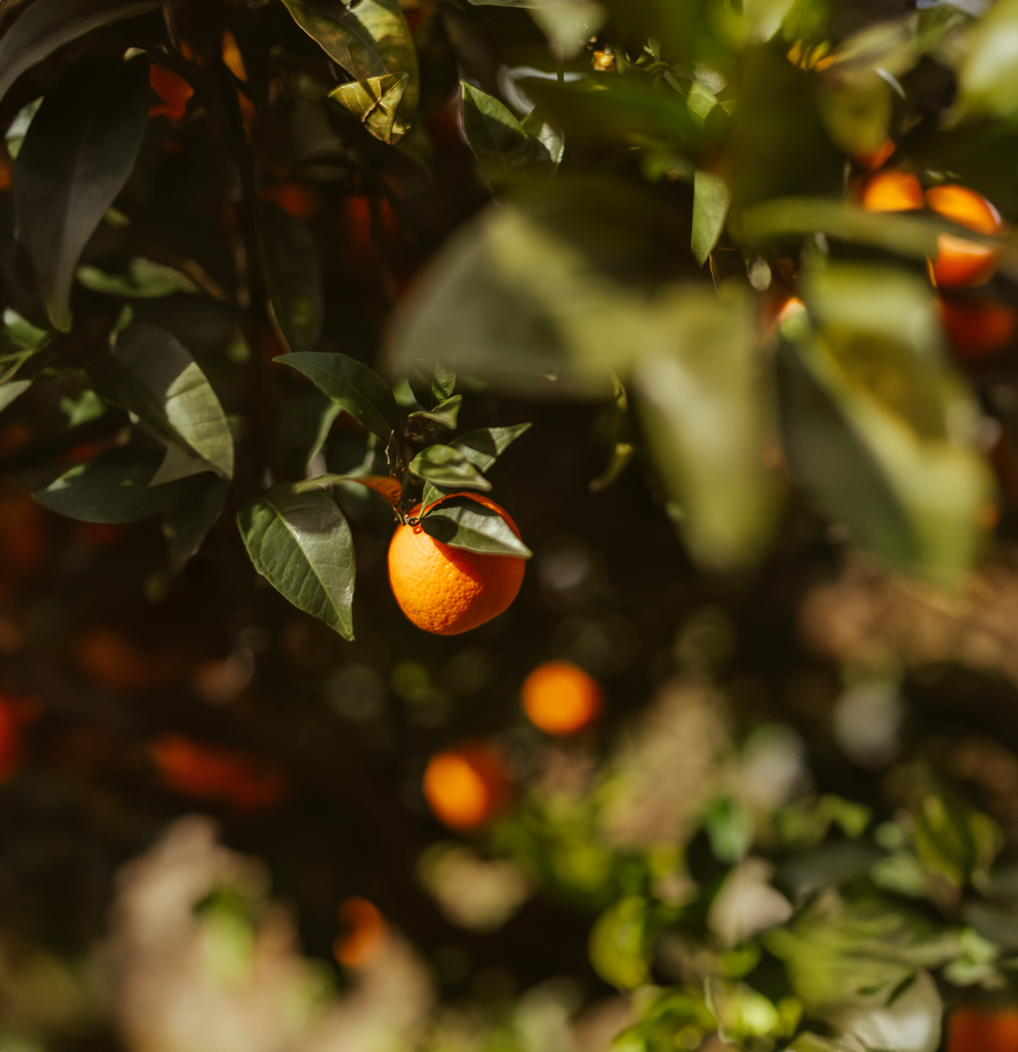 Har vi et ansvar for andre end os selv?