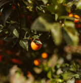 Har vi et ansvar for andre end os selv?